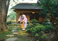 Japanese Gardens.jpg